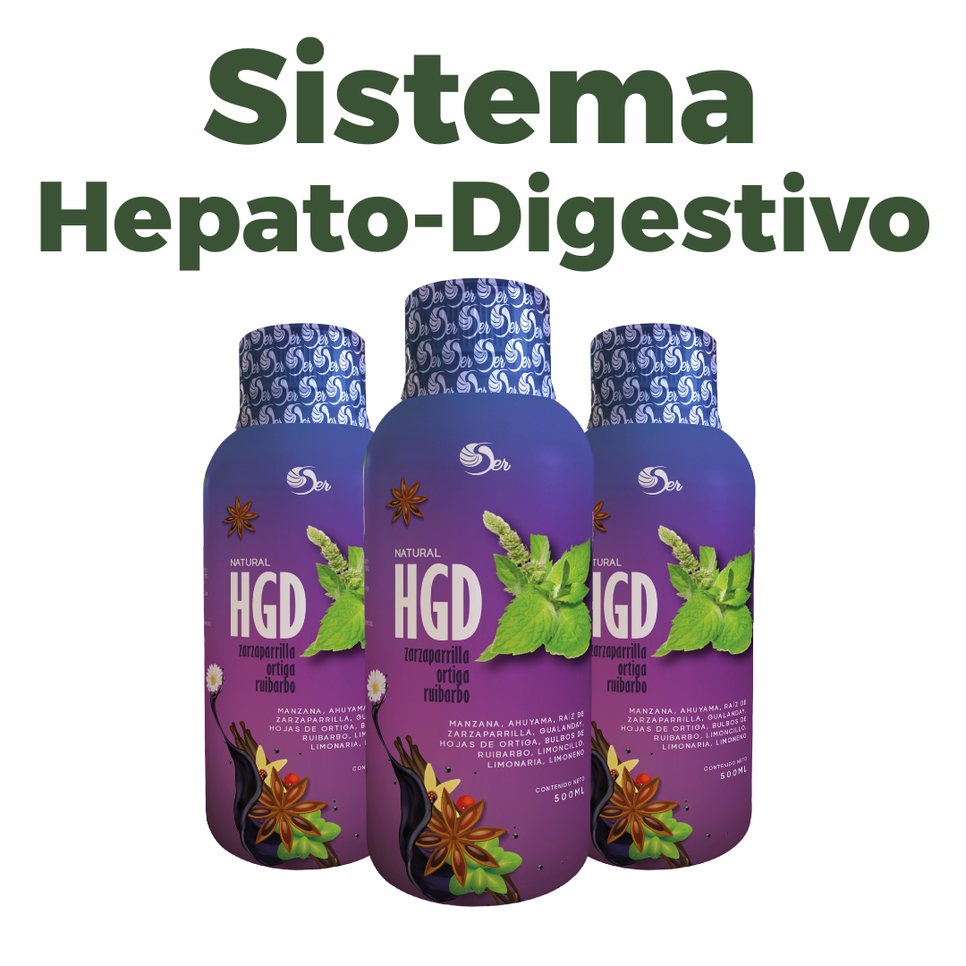 Sistema hepato-digestivo